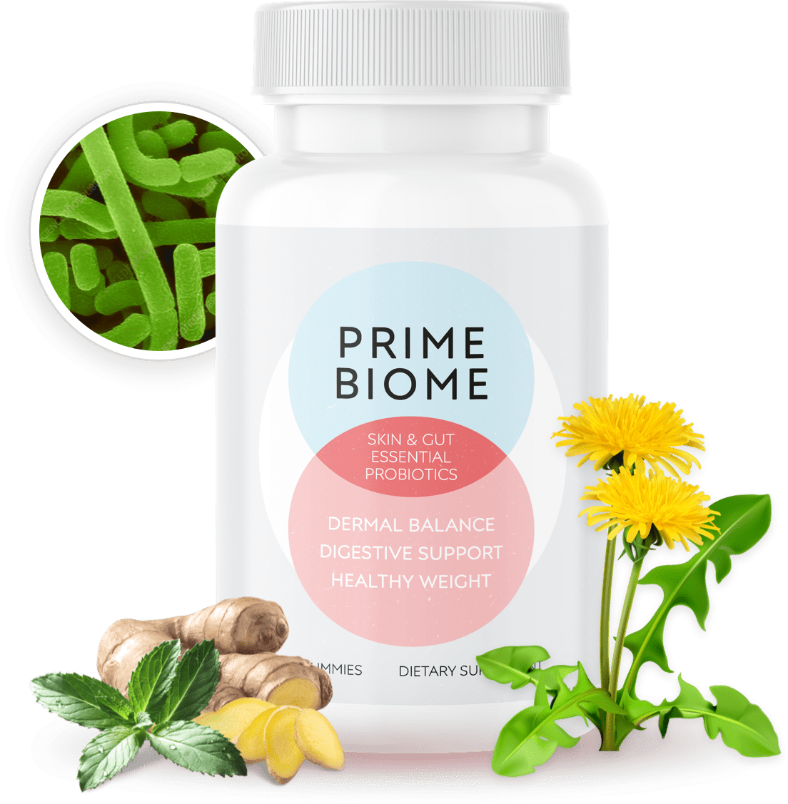 PrimeBiome supplement bottle